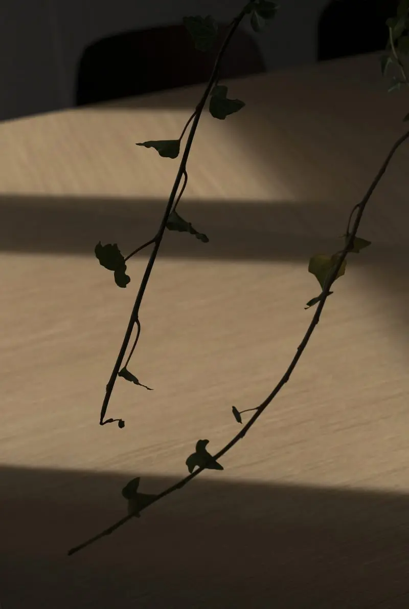 Harpa; fot.: NPA PHOTOGRAPHY