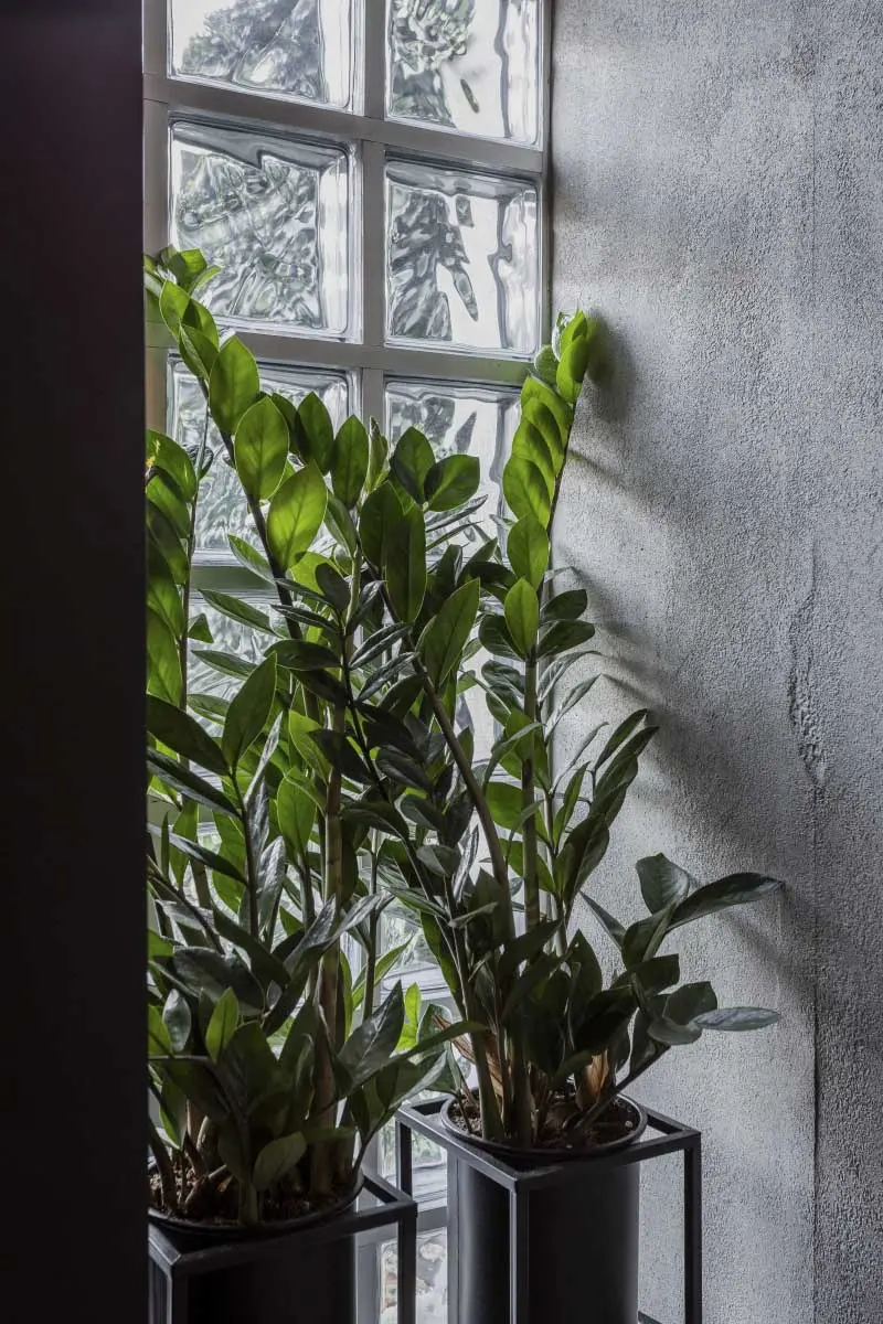 Proj.: OSKAR FIREK ARCHITECTS