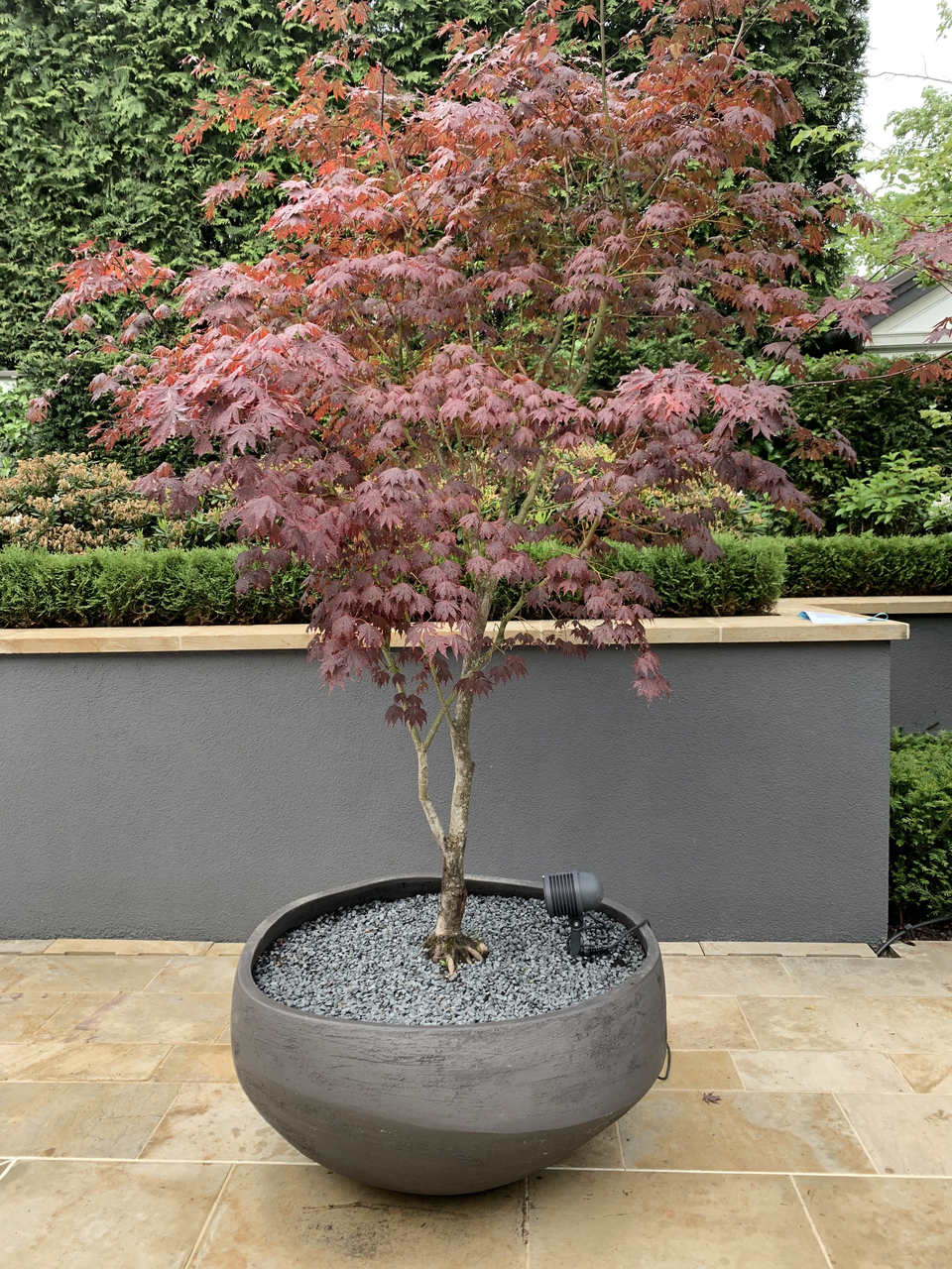 Ogród w nowoczesnej interpretacji | Proj: Studio Organic