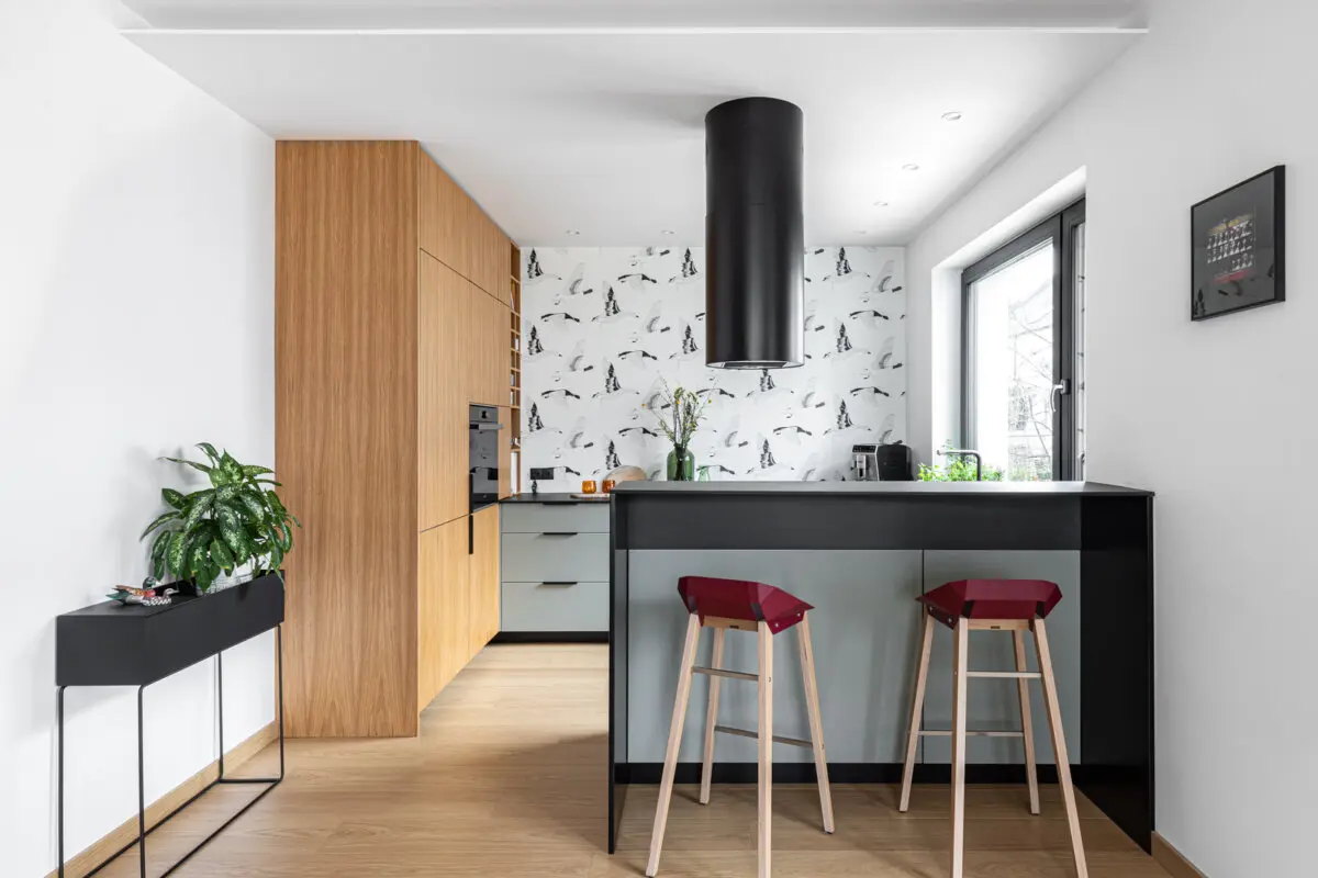 Proj: Czechowska Studio Foto; INKADR | dom bliźniak