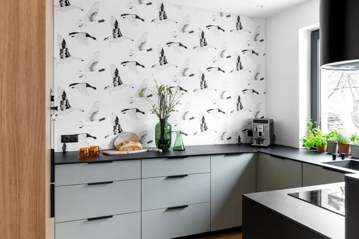 Proj: Czechowska Studio