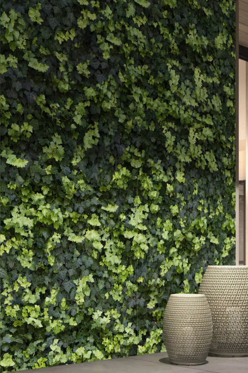 Naturalne tekstury – żywopłot z płytek.