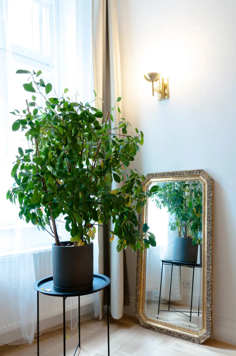 Antyczne lustro w projekcie salonu | proj. Studio Projektowe 4room (architekt wnętrz Lisa Bachurina)