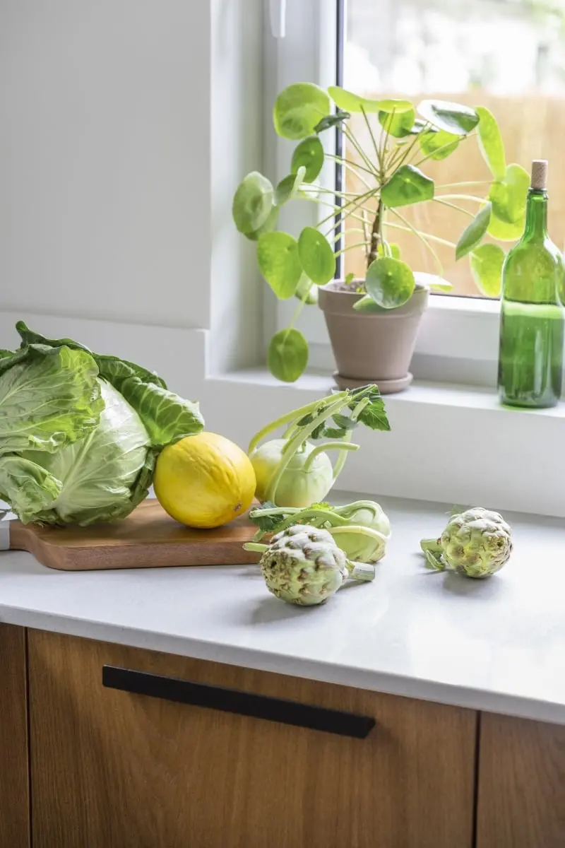 Proj.: Eliza Ziemińska-Żak, Nasze Nowe; Zdj.: Marta Behling, PionPoziom