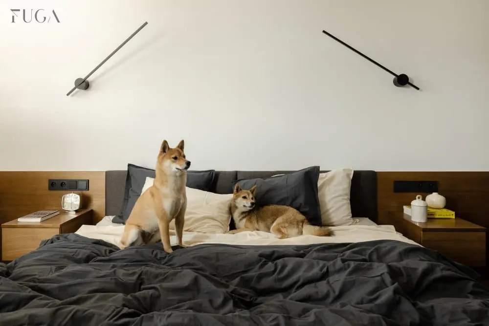 proj. Fuga Architektura Wnętrz