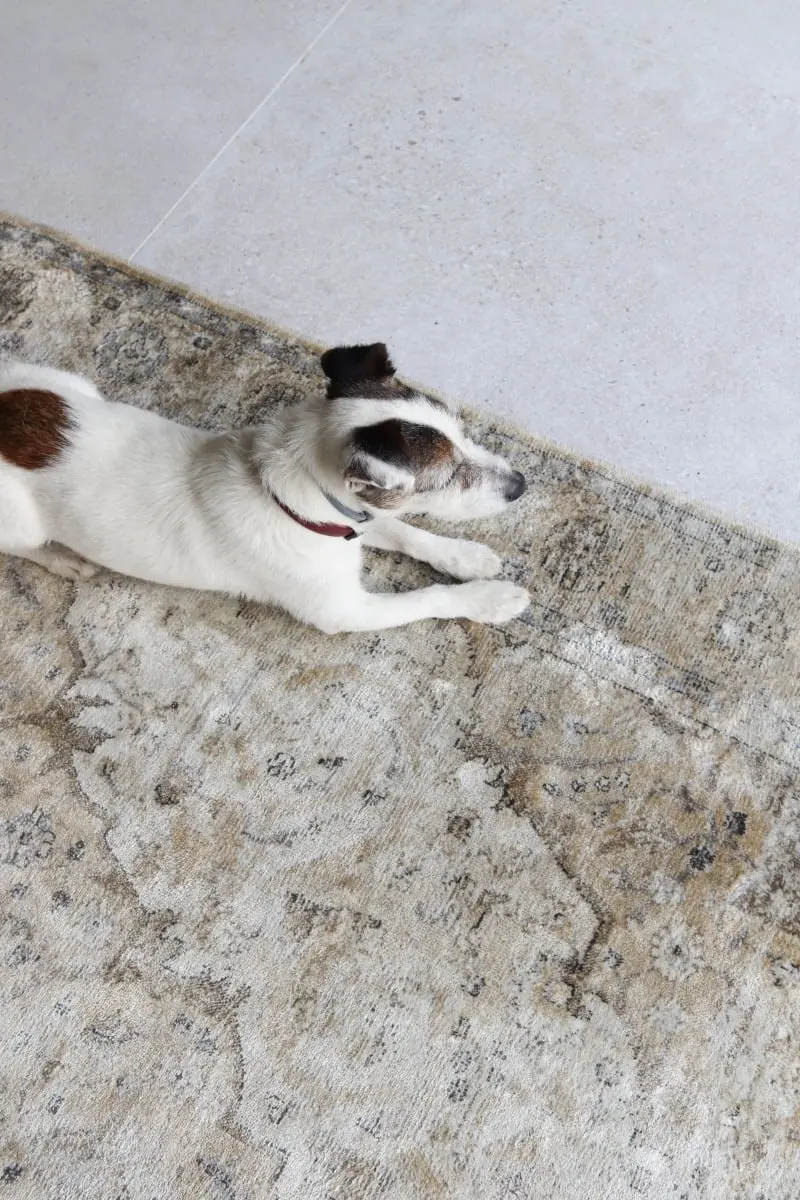 Proj. : FRAMUGA studio; fot.: Gabriela Bartczak-Pruszyńska; Stylizacja : Marta Sójka