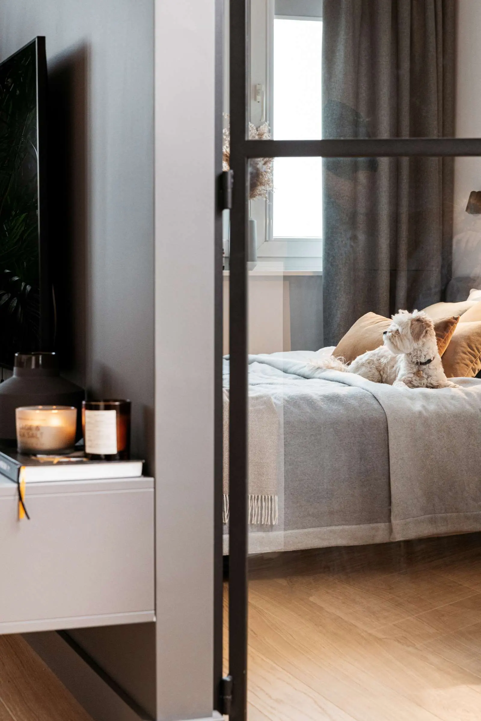 Design: Butterfly Studio