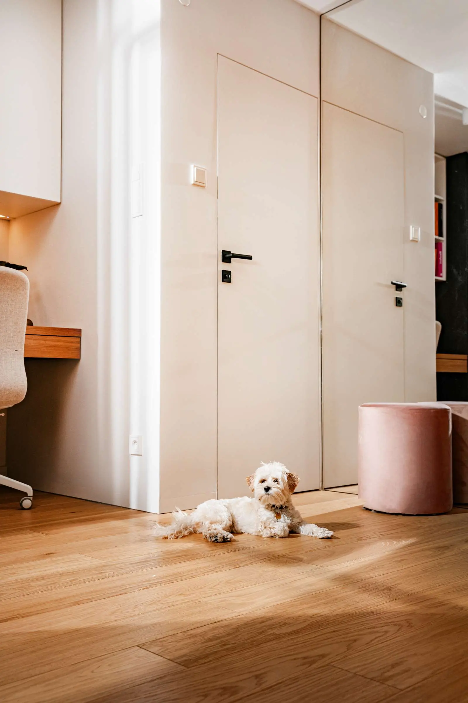 Design: Butterfly Studio