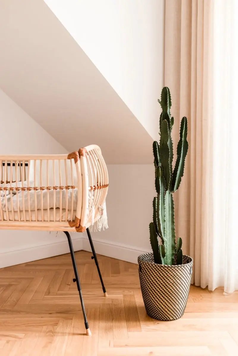 proj. Balicka Design | zdj. Dobre Światło