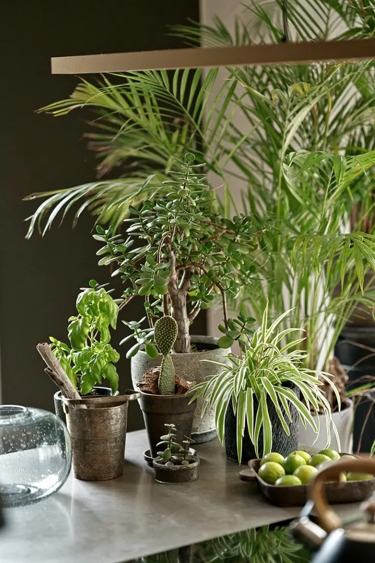 proj.: MoodWorks Karina Snuszka i Dora Kuć | fot.: Tom Kurek