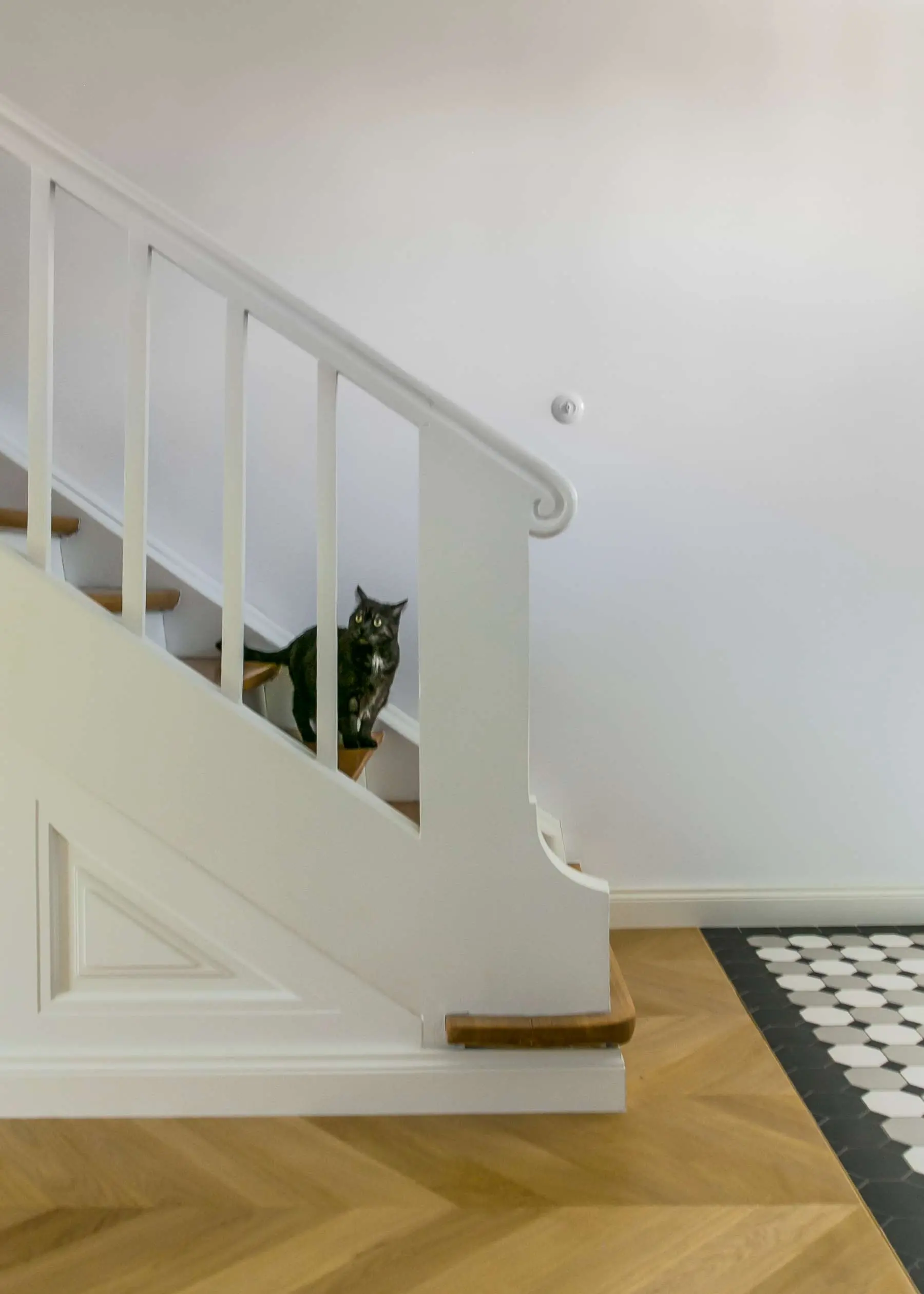 Projekt Joanny Zabłockiej