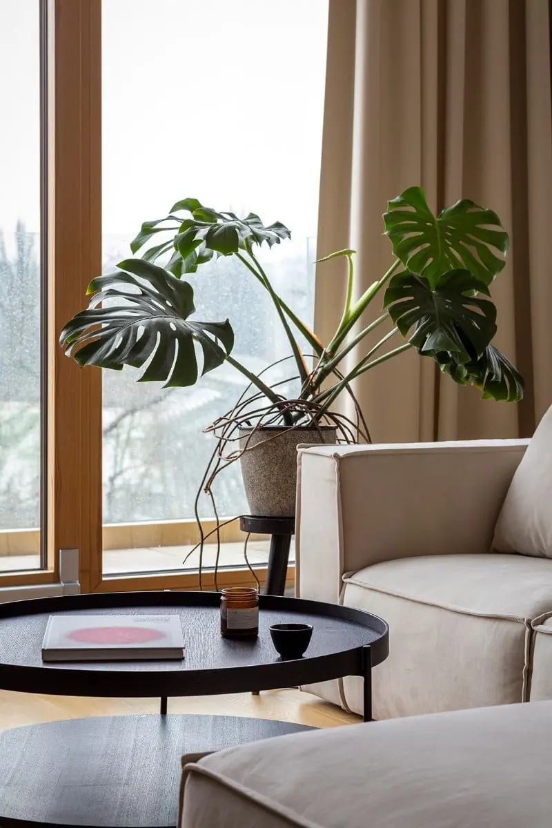 proj. OIKOI | zdjęcia: Martyna Rudnicka