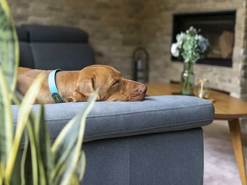 Rustykalna klimatyczna nuta w nowoczesnej odsłonie