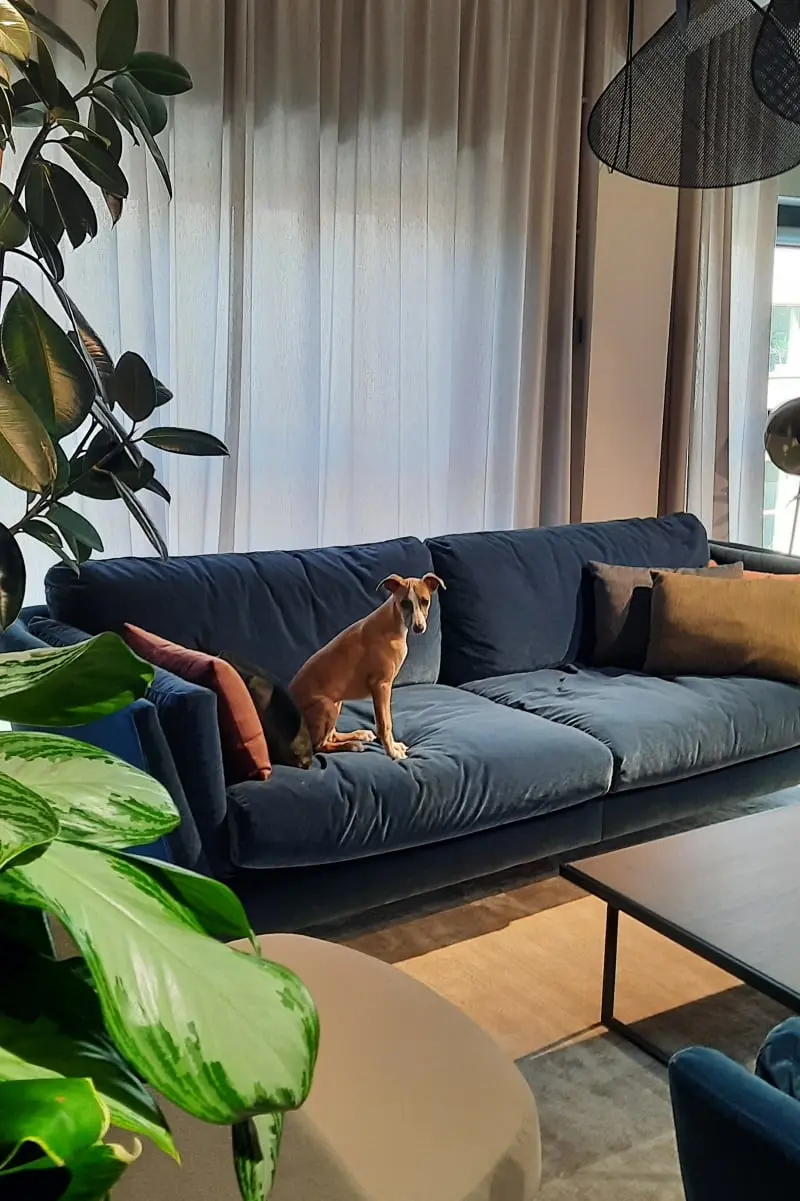 Gość Atelier Internity Home:)