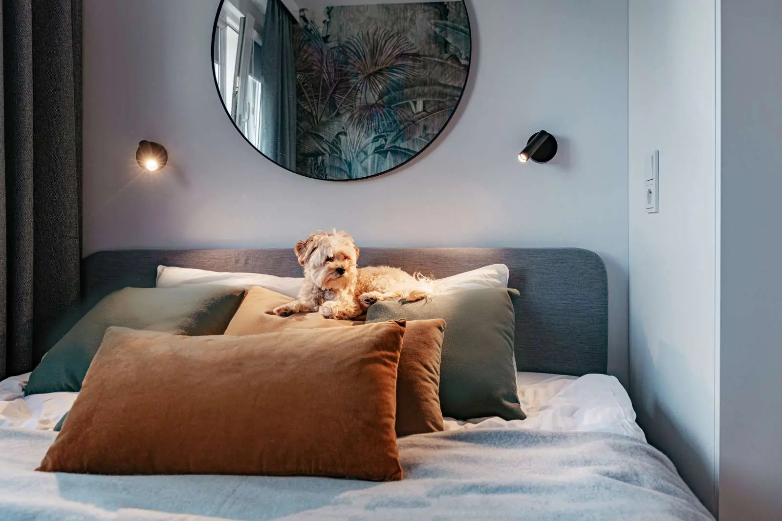 Design: Butterfly Studio