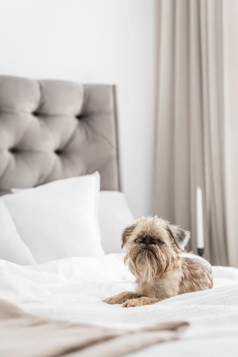 design: Katarzyna Piotrowska Projektowanie Wnętrz,
photos: Katarzyna Seliga-Wróblewska, Marcin Wróblewski / Fotomohito