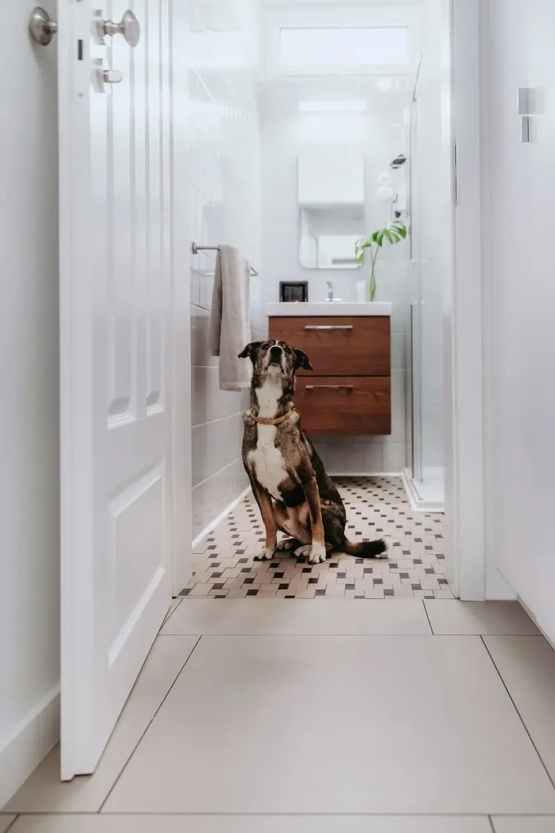 Proj.: Ksymena Kucharska; Zdjęcia: Grzegorz Kucharski