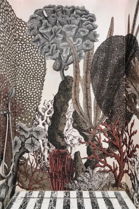 proj. Magma, zdj. Fotomohito