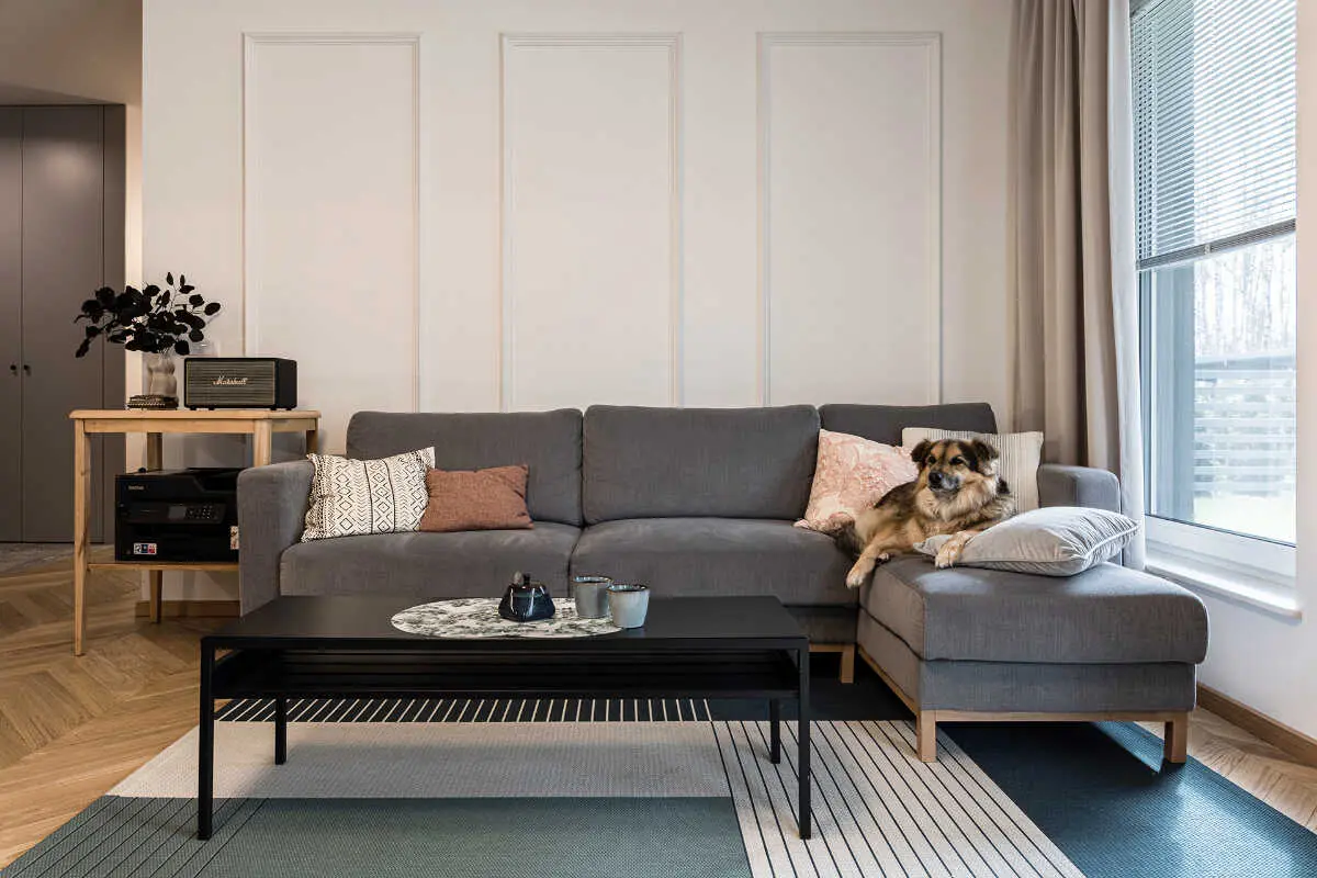 Proj: NProj: NOM studioOM studio