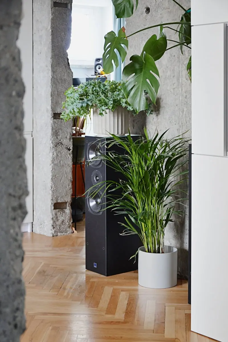 Projekt: Grzegorz Layer