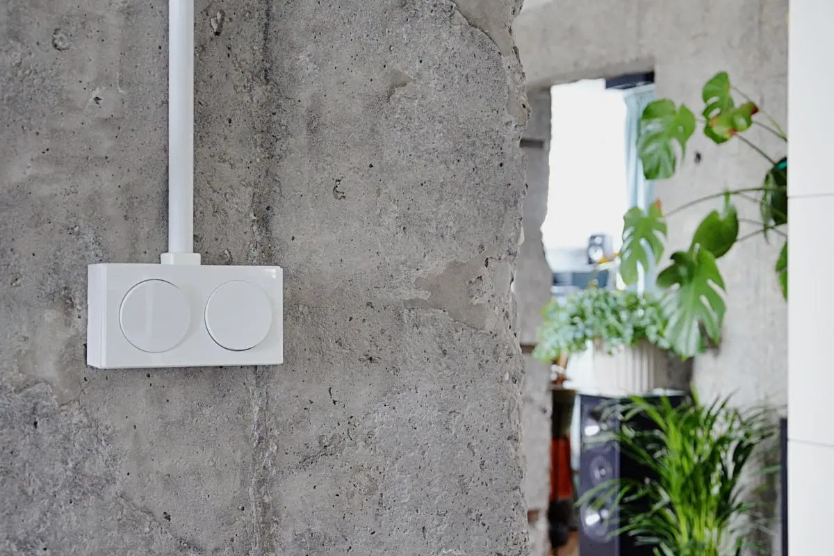 Projekt: Grzegorz Layer