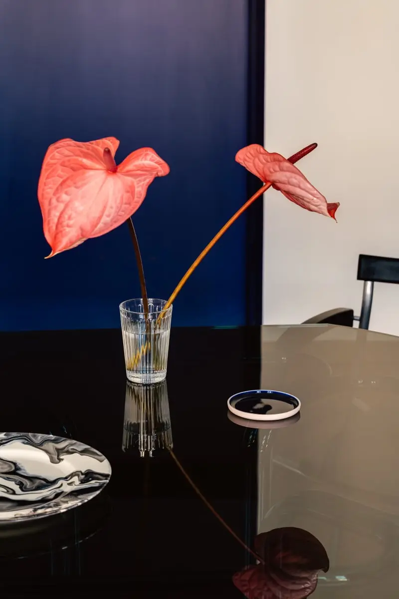 Proj.: Mistovia; Fot.: ONI Studio