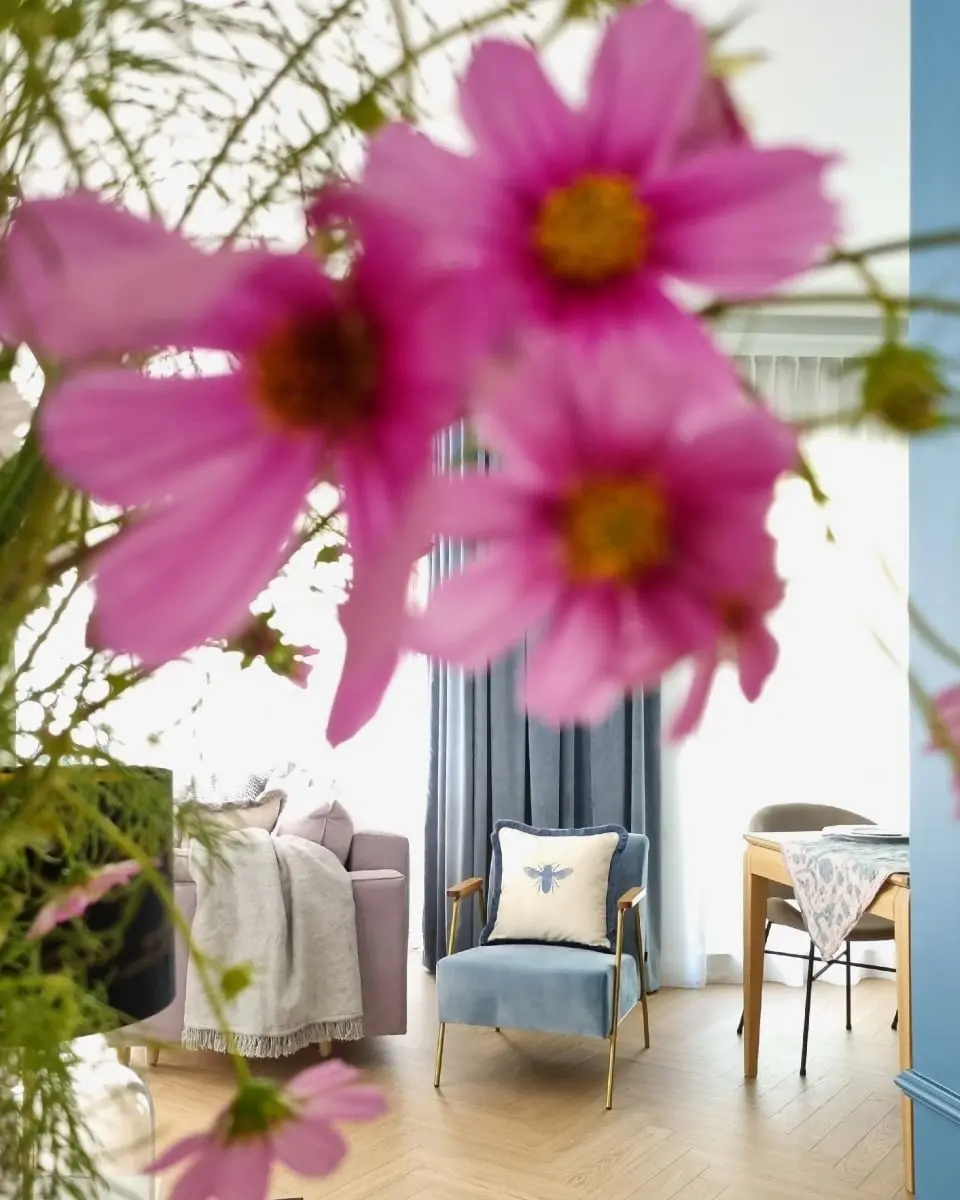 Źródło: materiały prasowe; Fot. Paulina Minta