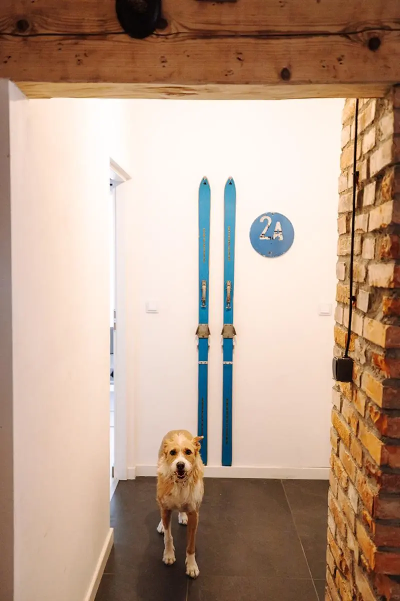 fot. Kasia Klimkowska