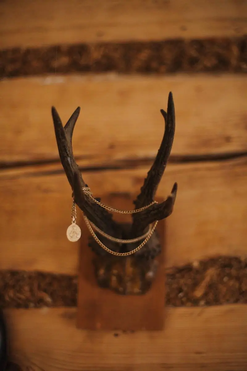 fot. Kasia Klimkowska