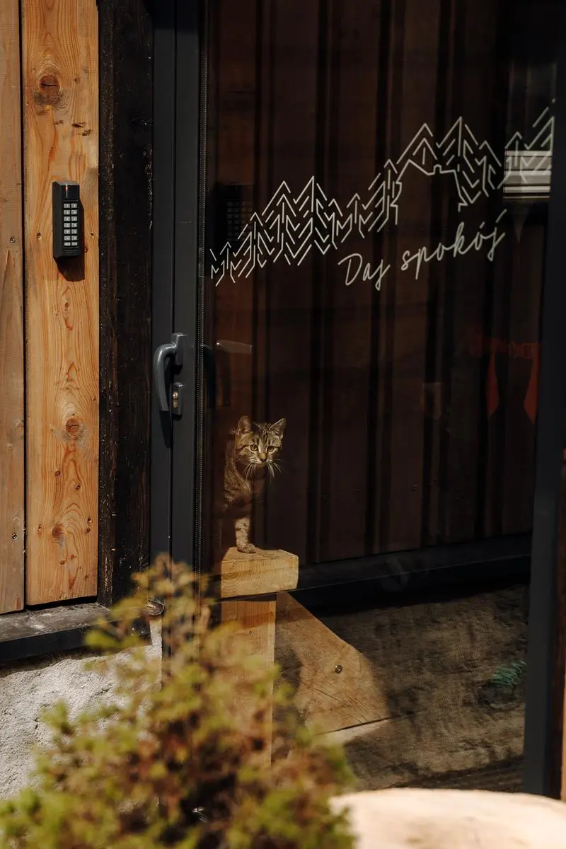 fot. Kasia Klimkowska