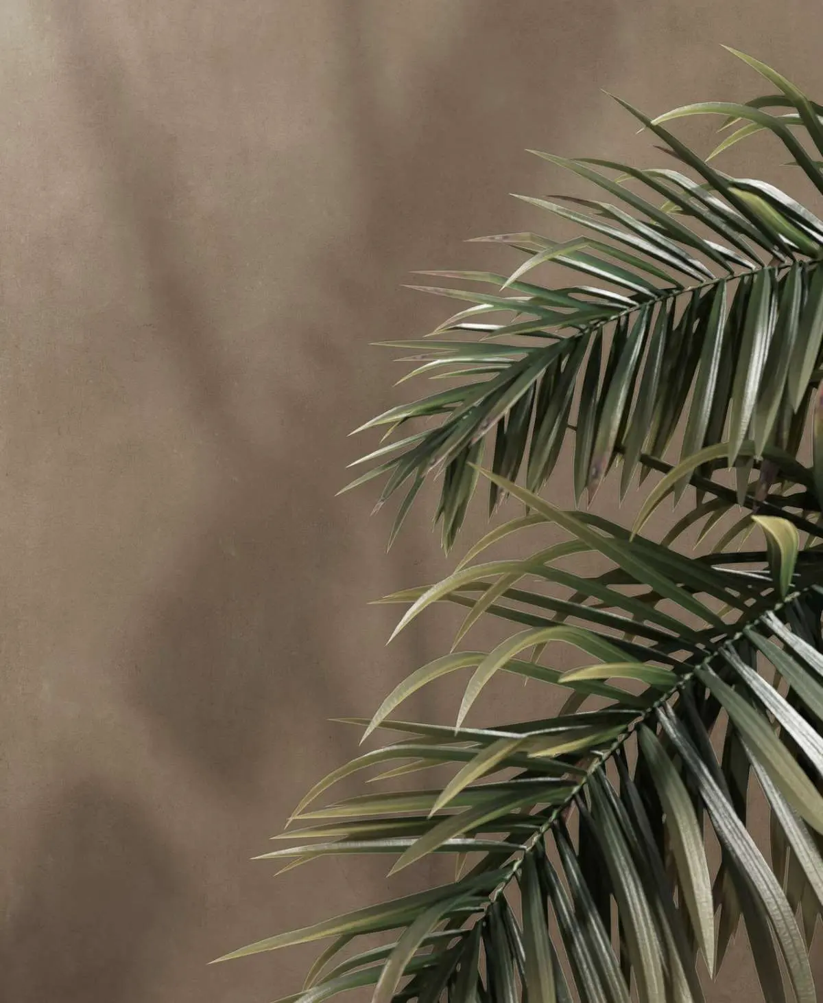 Płytki Fondovalle Homescape Carmel