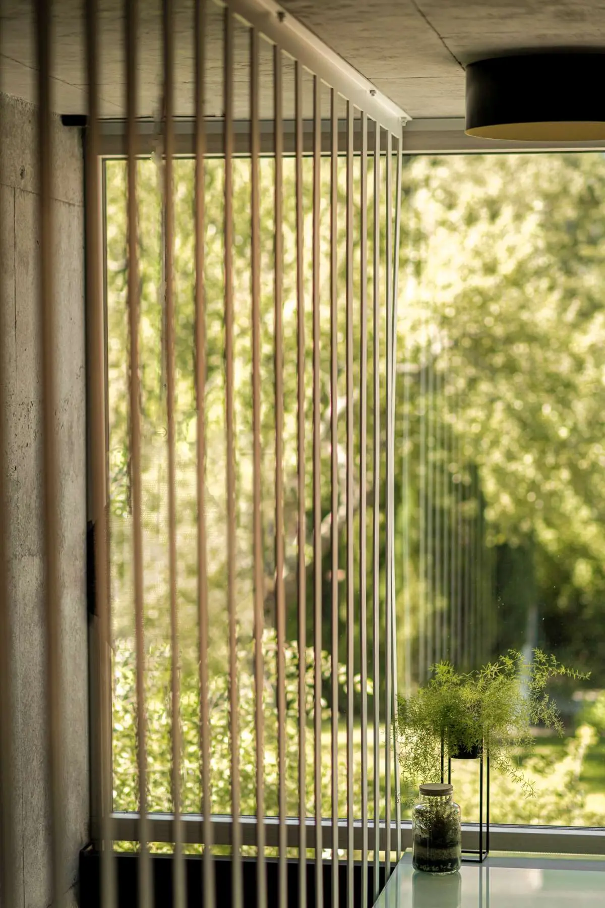 Zabliźniak | Projekt Pracownia 111