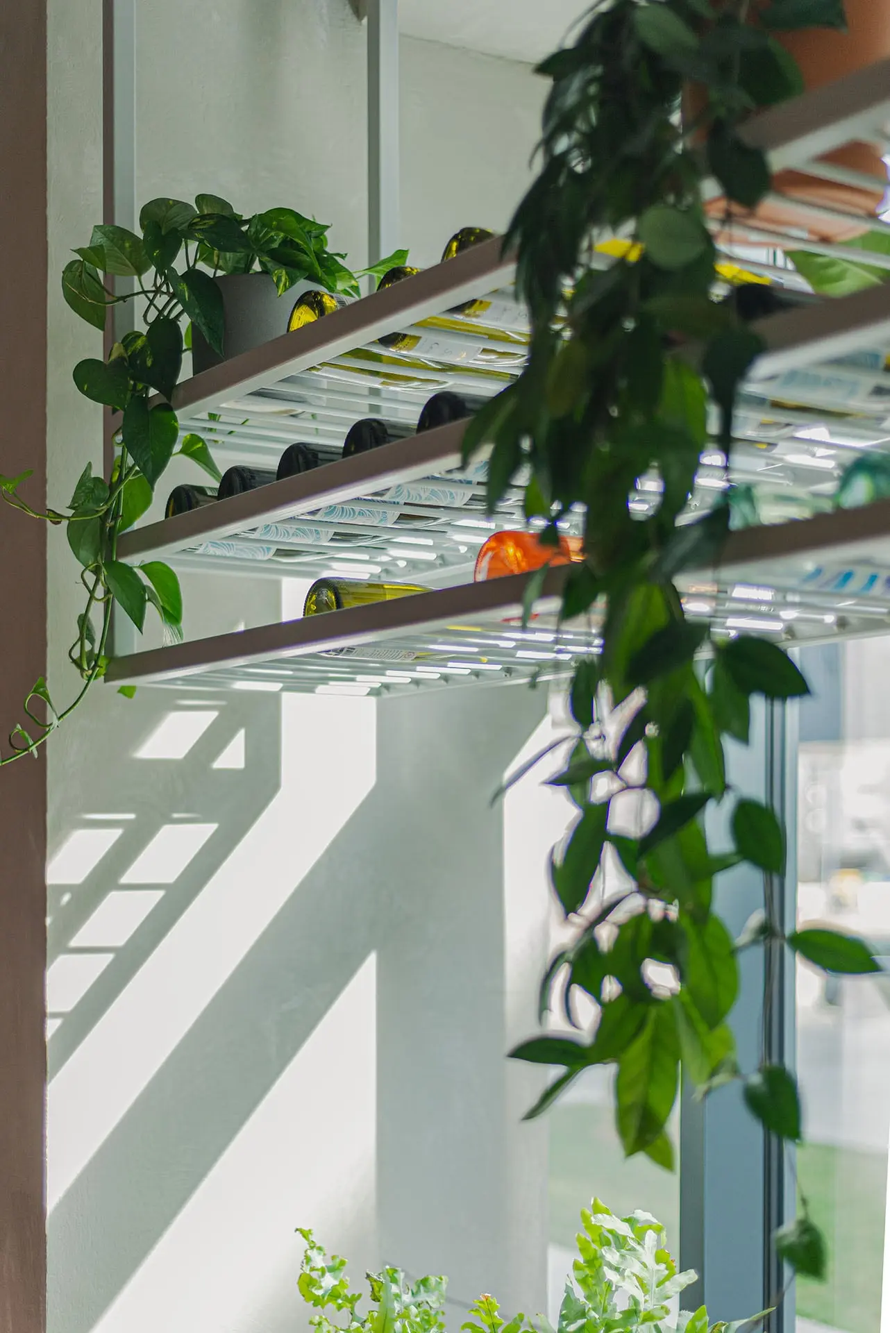 PROJ: MONARCHIA DESIGN