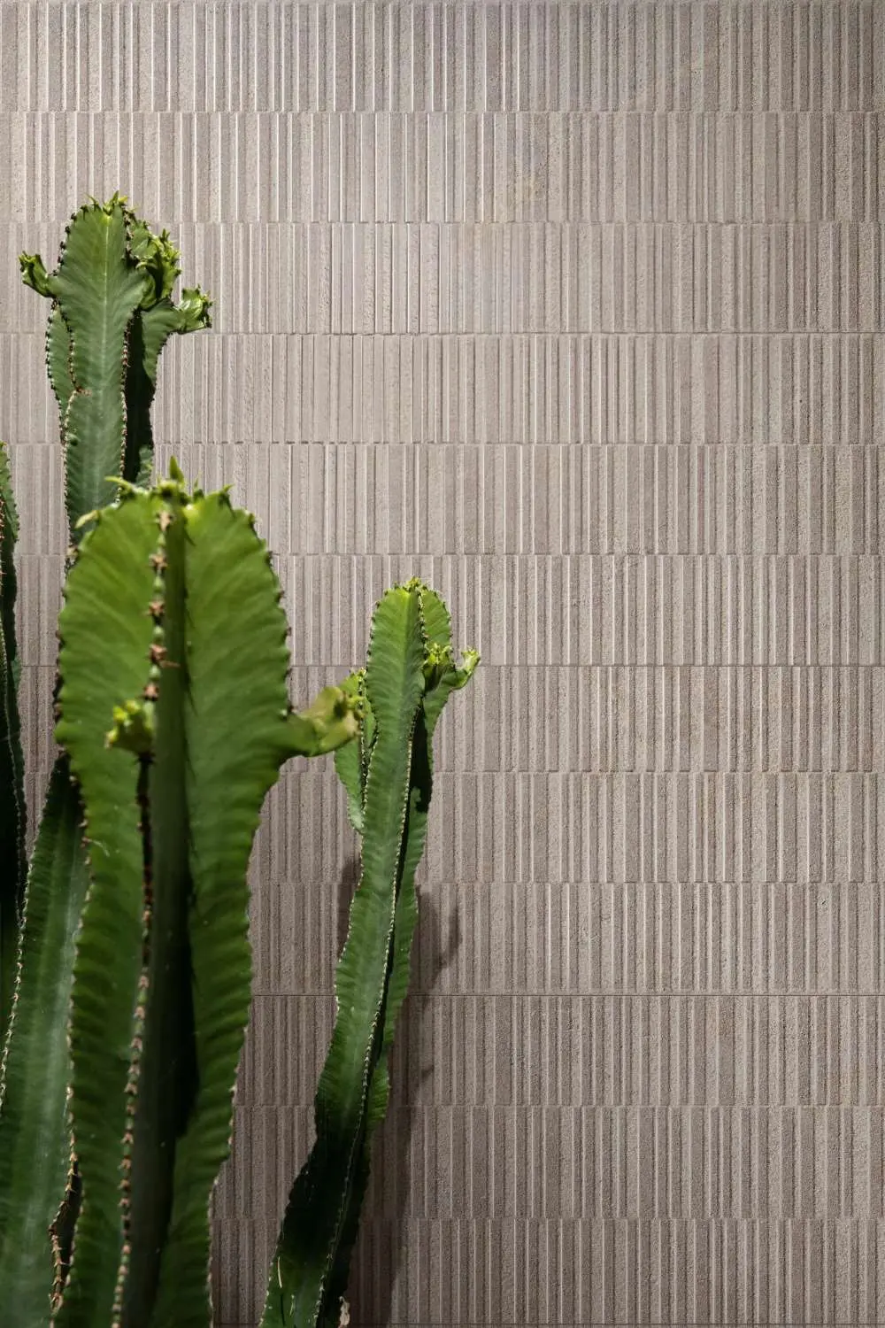 Marazzi Naturalia