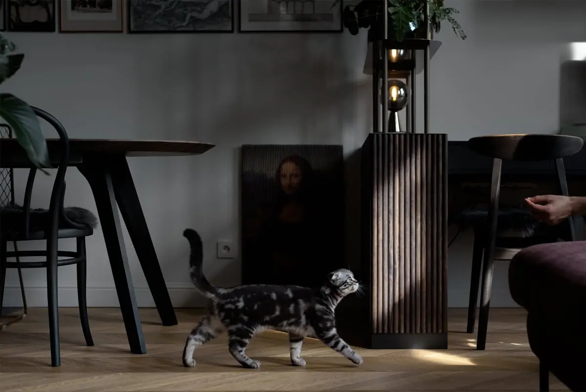 Proj.: Kohlrabi | Filip Symonowicz i Amelia Symonowicz; Fot.: Stanisław Zajączkowski