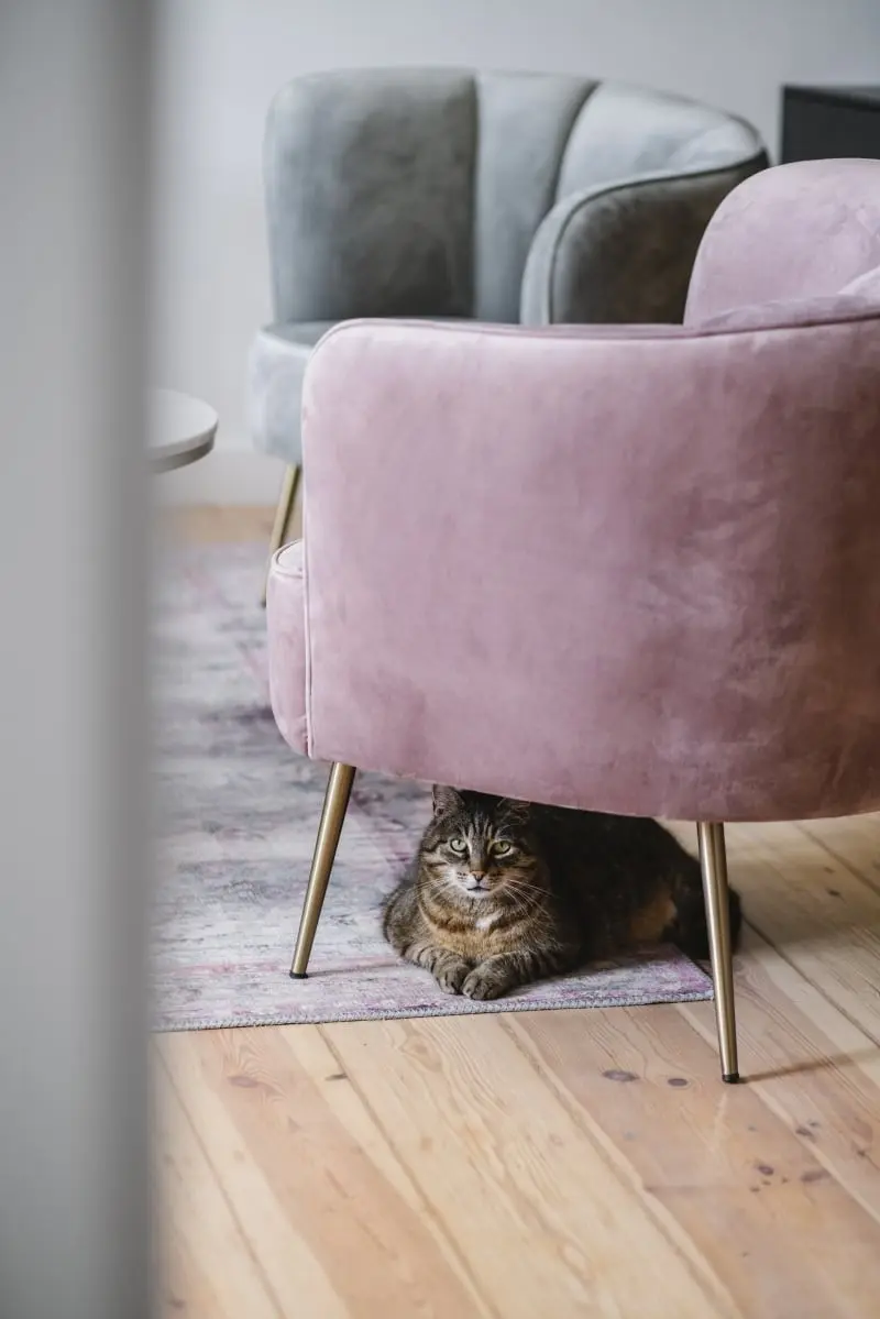 Proj.: bo/sko; FOt.: Hanna Połczyńska / kroniki.studio