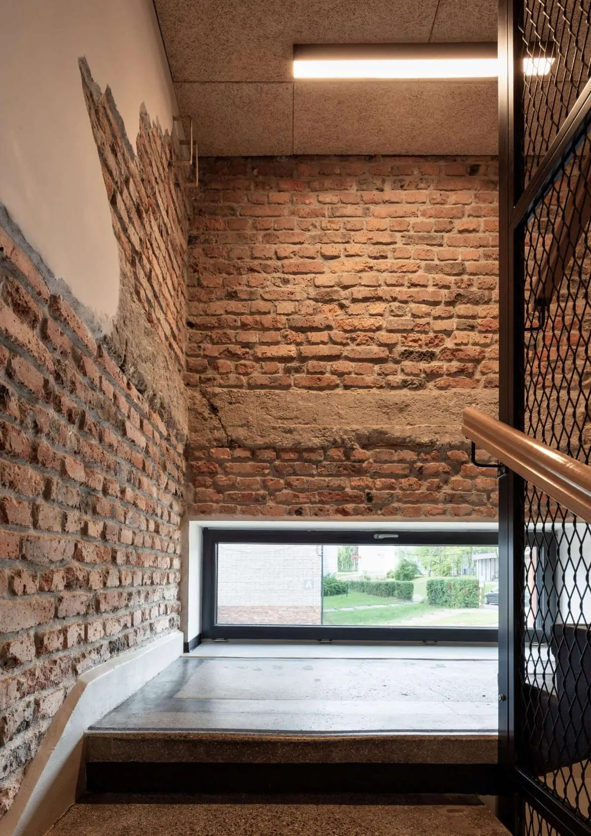 Zdjęcia: Tomasz Zakrzewski / archifolio