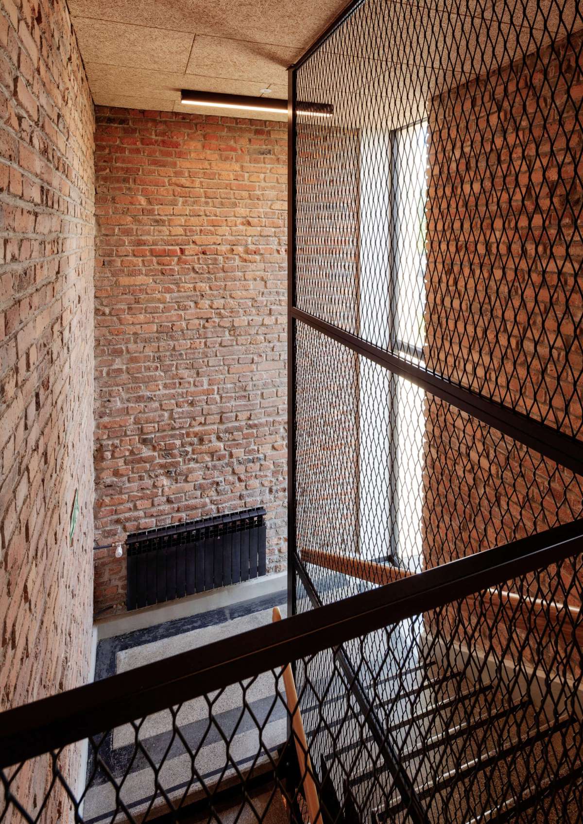 Zdjęcia: Tomasz Zakrzewski / archifolio