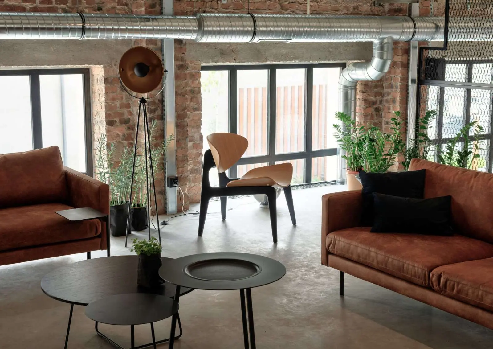 Zdjęcia: Tomasz Zakrzewski / archifolio