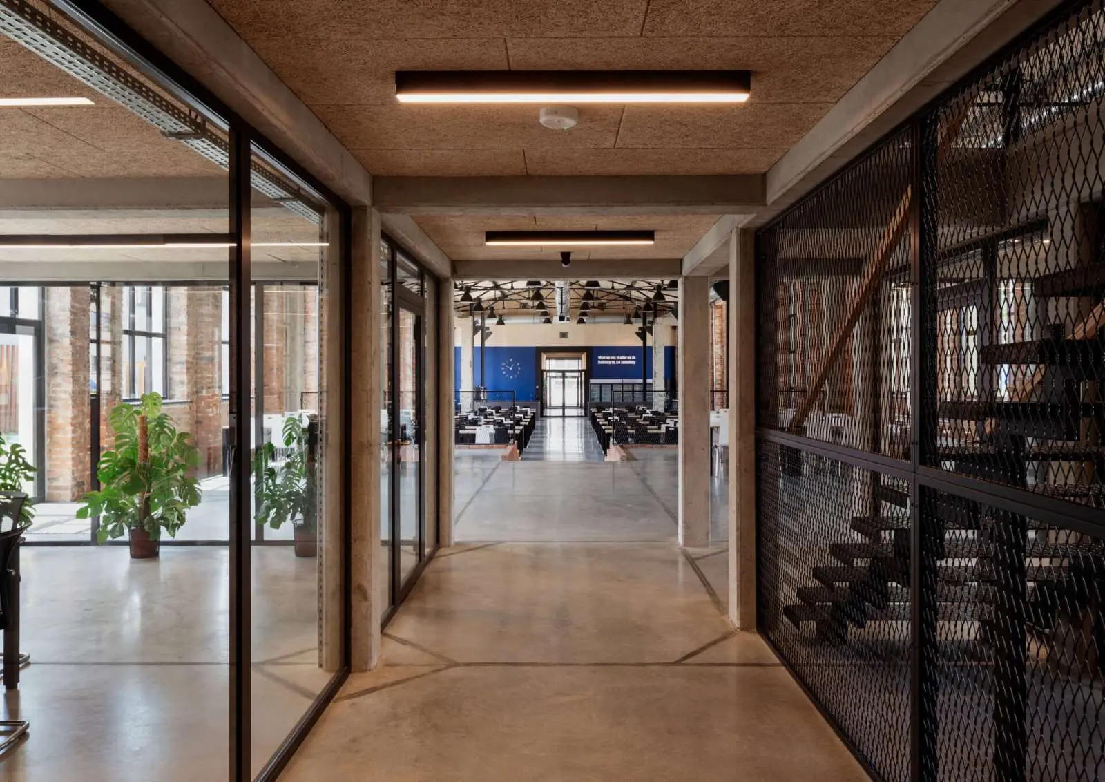 Zdjęcia: Tomasz Zakrzewski / archifolio