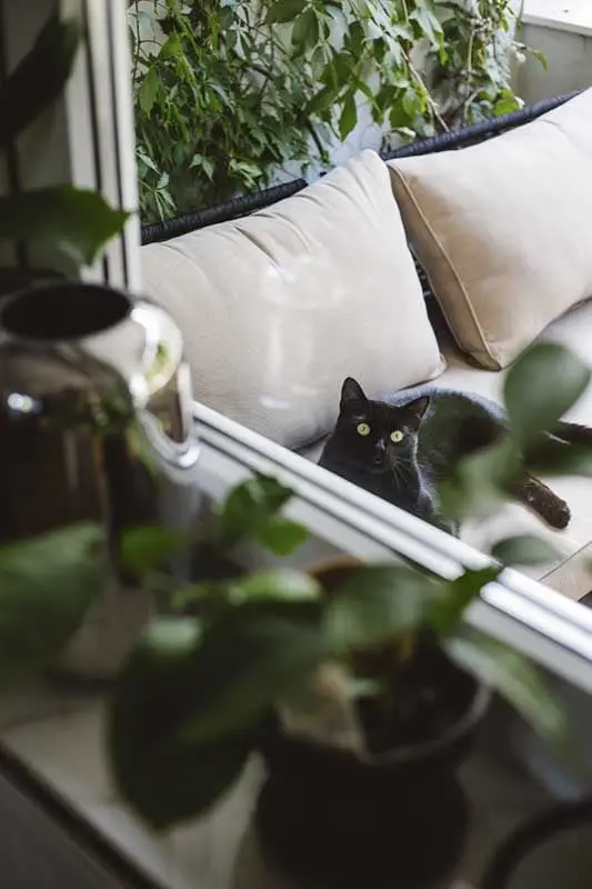 Proj.: Studio Kulis | Karolina Kulis; Fot.: Kroniki | Hanna Połczyńska