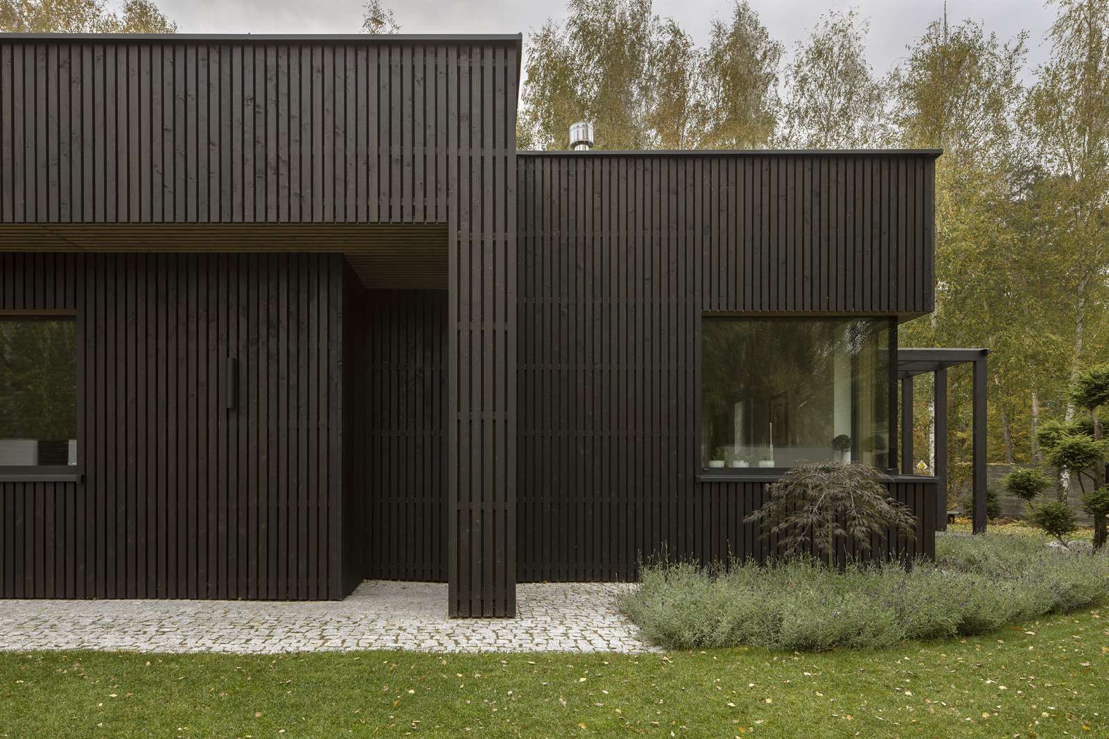 Zdjęcia: Yassen Hristov