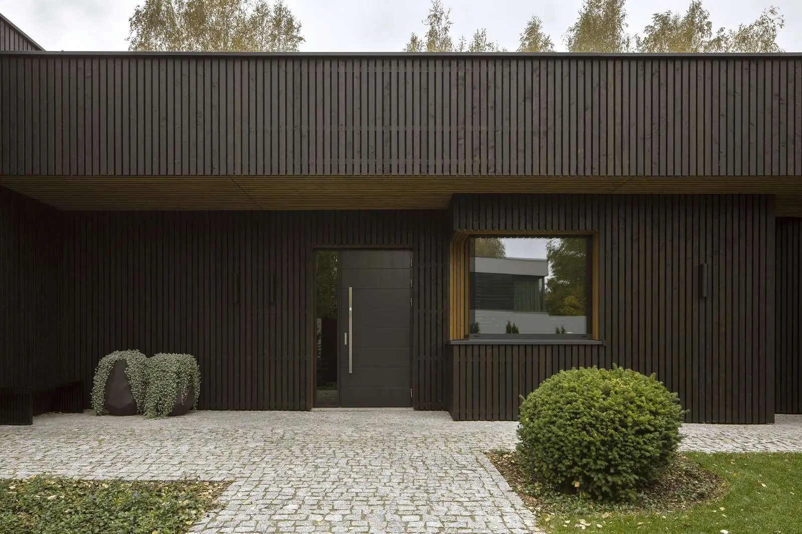 Zdjęcia: Yassen Hristov