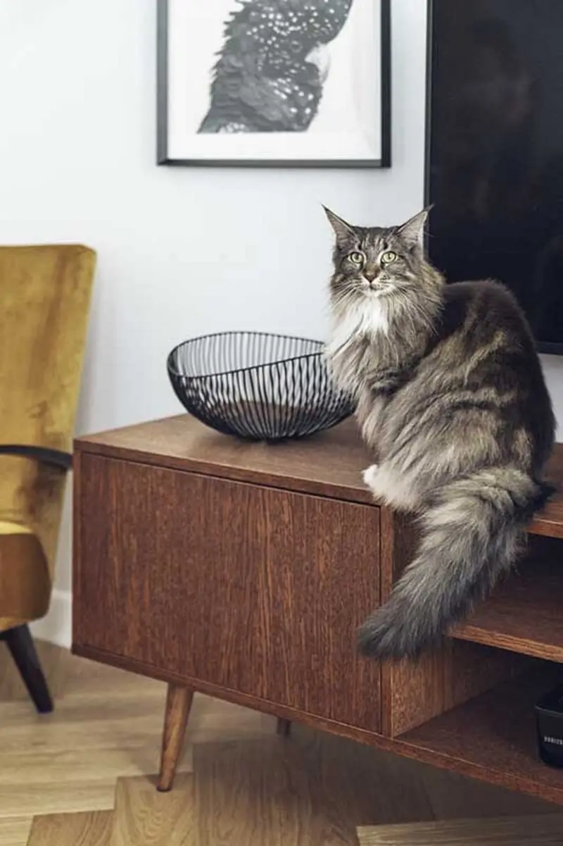 proj. luumo, zdj. Tom Kurek