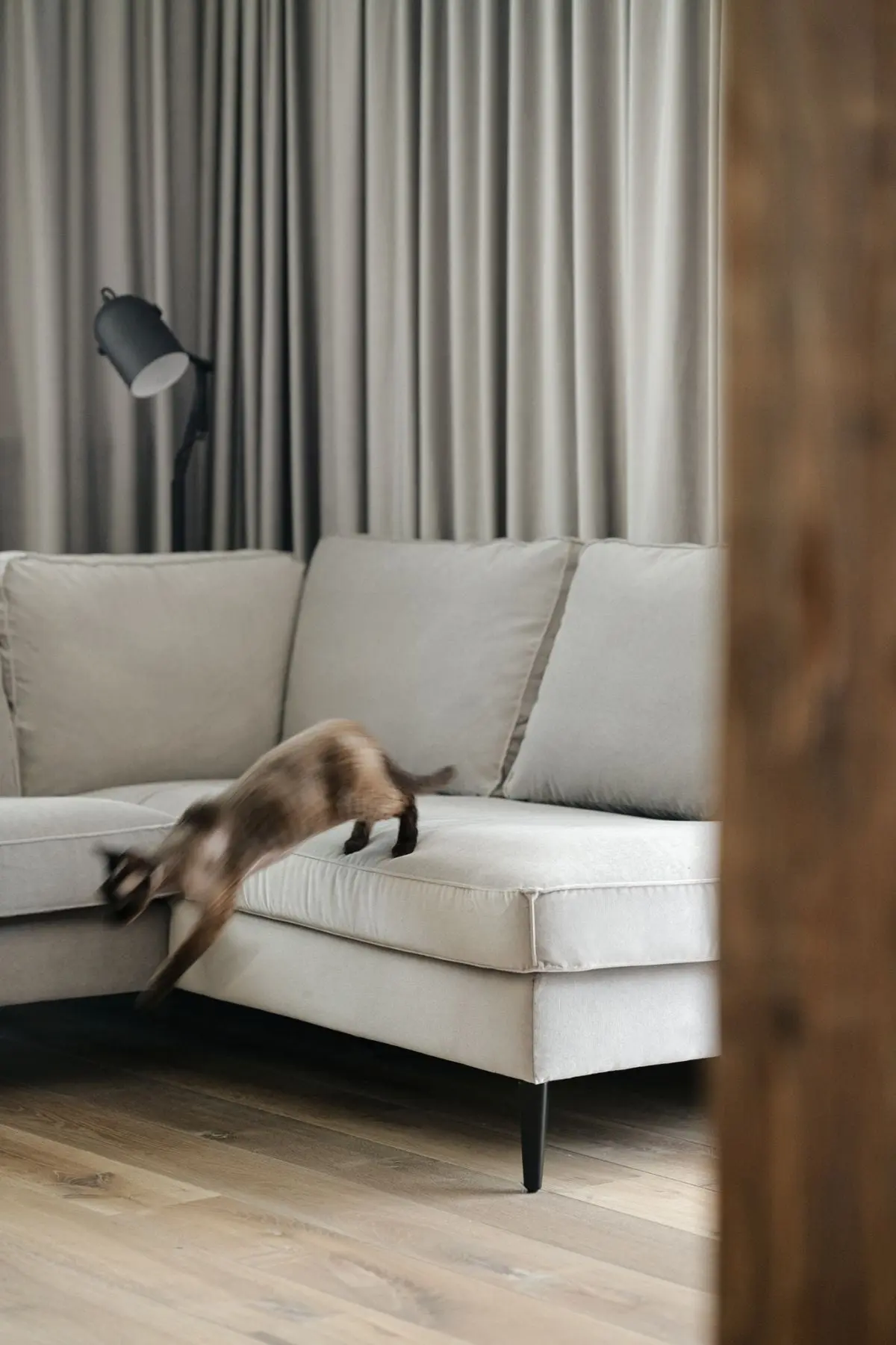 Design: Jacek Tryc | Zdjęcia Tom Kurek