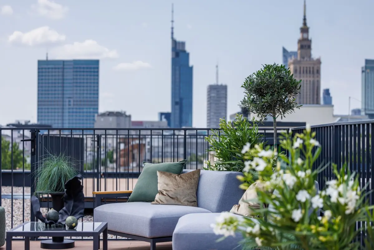 Źródło: materiały prasowe