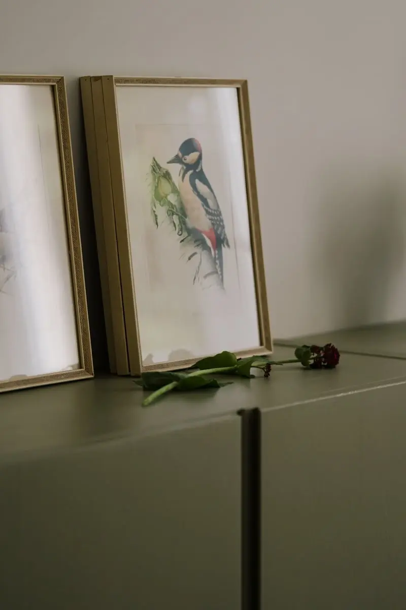 Proj.: emwe studio architektury; Fot: ZASOBY studio