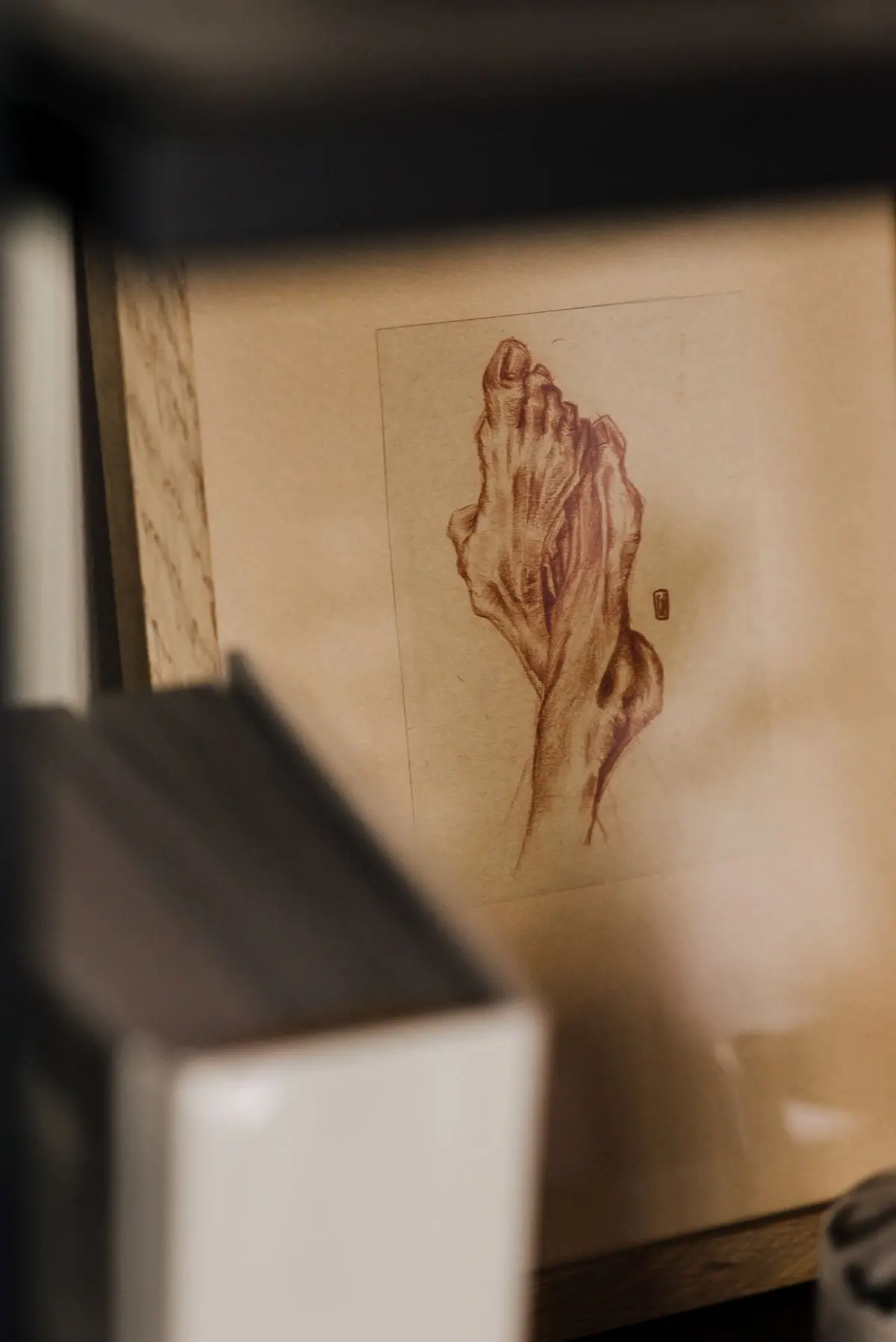 Design: Katarzyna Baumiller | Foto: ONISTORIES