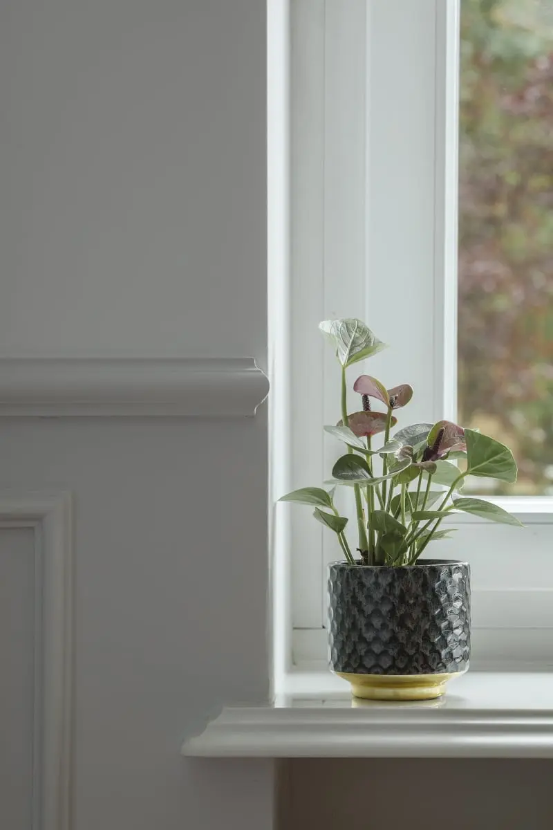 Proj.: Mango Investments; Fot.: Yassen Hristov