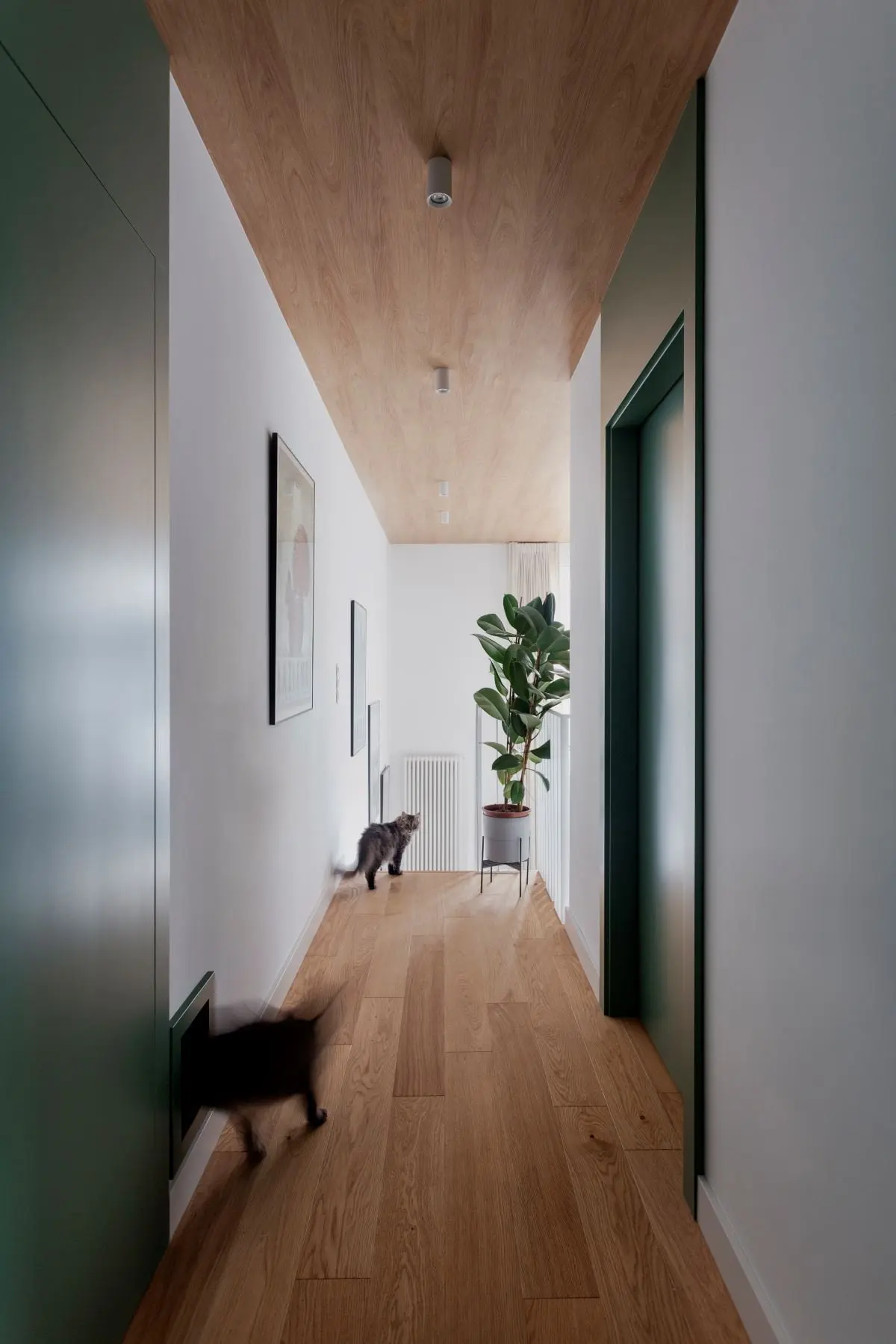 Projekt: ONUKO Karolina Jackowska  Zdjęcia: Martyna Rudnicka  Stylizacja do sesji: Eliza Mrozińska